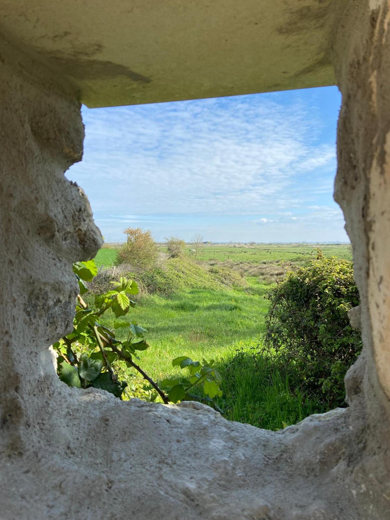 Saint-Just-Luzac Chateau De Feusse מראה חיצוני תמונה